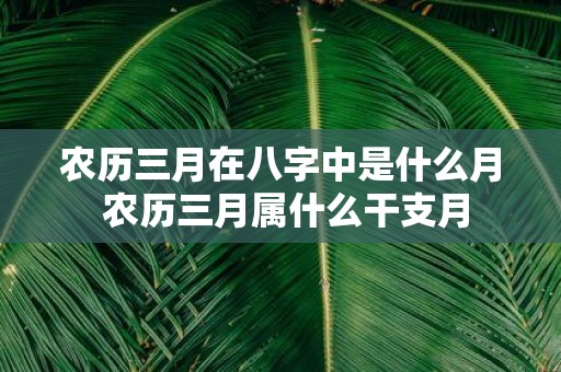 农历三月在八字中是什么月 农历三月属什么干支月