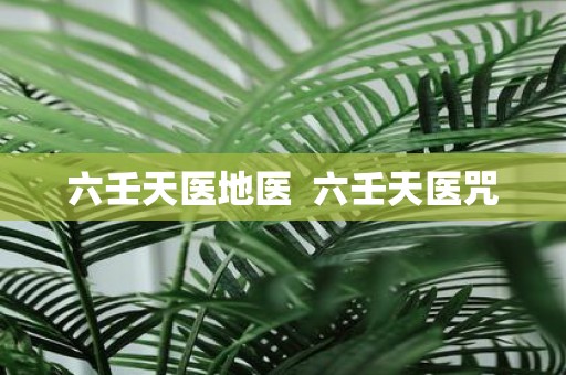 六壬天医地医 六壬天医咒