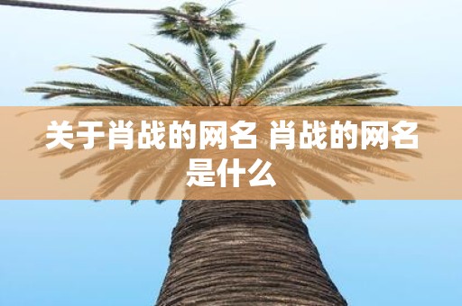 关于肖战的网名 肖战的网名是什么