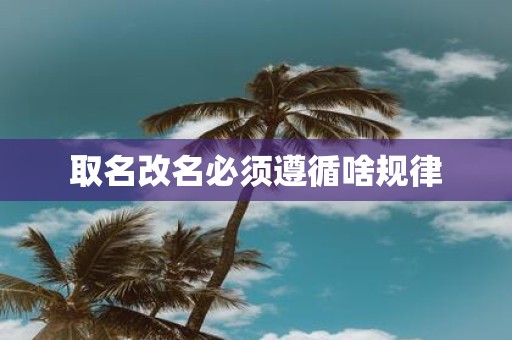 取名改名必须遵循啥规律