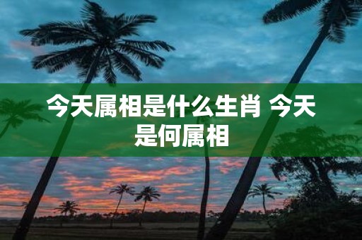 今天属相是什么生肖 今天是何属相