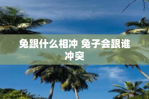 兔跟什么相冲 兔子会跟谁冲突