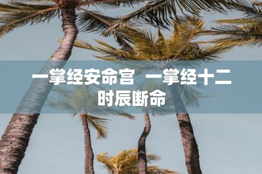 一掌经安命宫 一掌经十二时辰断命