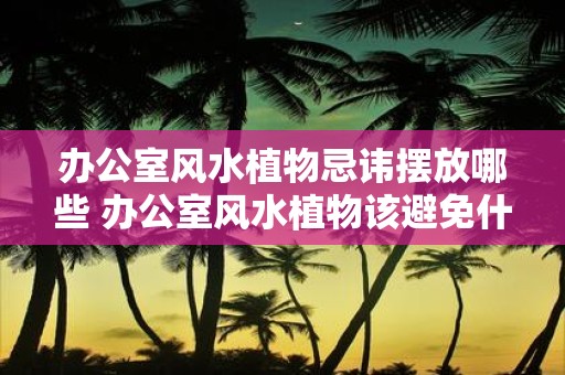 办公室风水植物忌讳摆放哪些 办公室风水植物该避免什么摆放