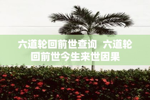 六道轮回前世查询 六道轮回前世今生来世因果
