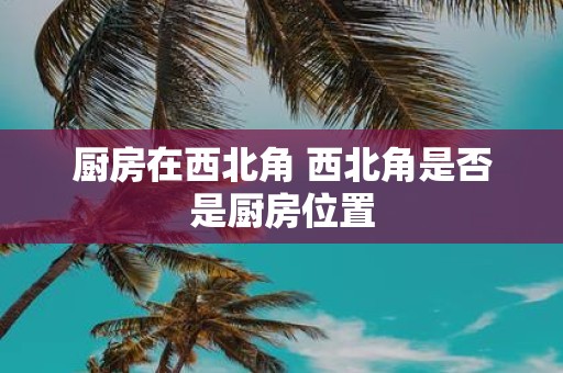 厨房在西北角 西北角是否是厨房位置