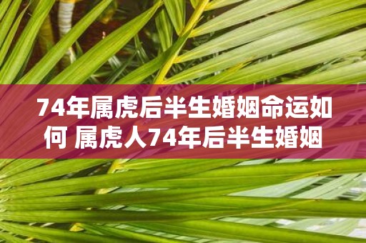 74年属虎后半生婚姻命运如何 属虎人74年后半生婚姻运势如何