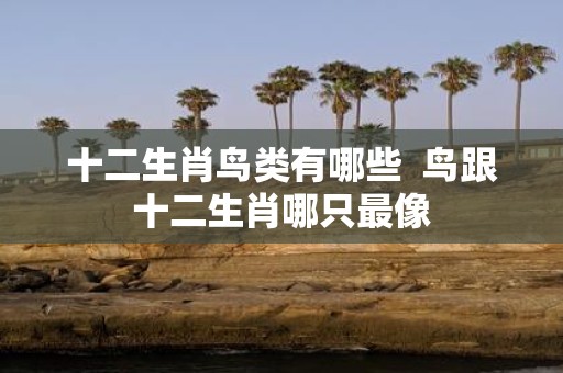 十二生肖鸟类有哪些 鸟跟十二生肖哪只最像
