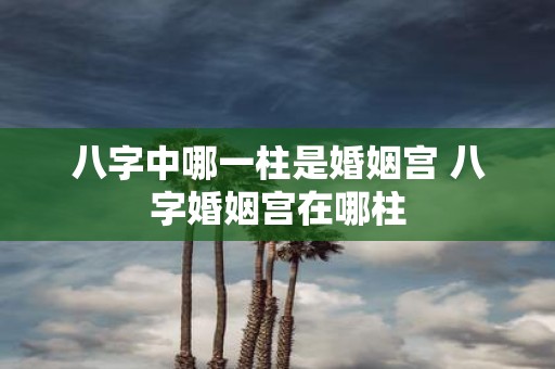 八字中哪一柱是婚姻宫 八字婚姻宫在哪柱