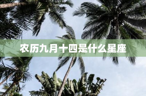 农历九月十四是什么星座
