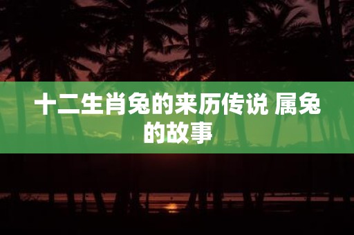 十二生肖兔的来历传说 属兔的故事
