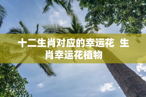 十二生肖对应的幸运花 生肖幸运花植物