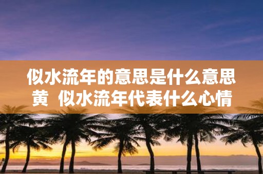 似水流年的意思是什么意思黄 似水流年代表什么心情
