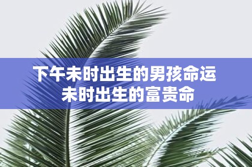 下午未时出生的男孩命运 未时出生的富贵命