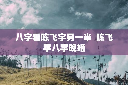 八字看陈飞宇另一半 陈飞宇八字晚婚