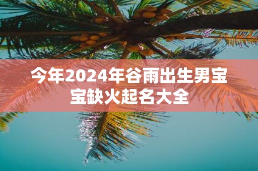 今年2025年谷雨出生男宝宝缺火起名大全