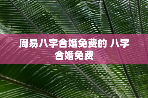 周易八字合婚免费的 八字合婚免费