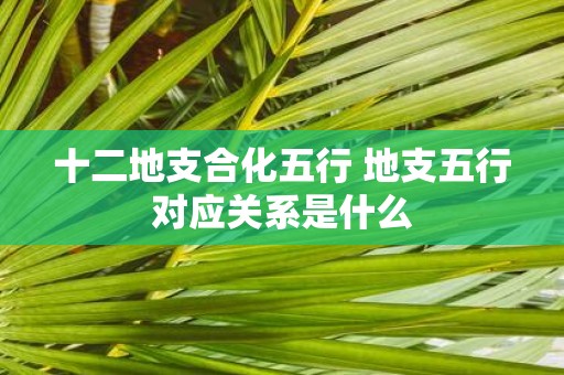 十二地支合化五行 地支五行对应关系是什么