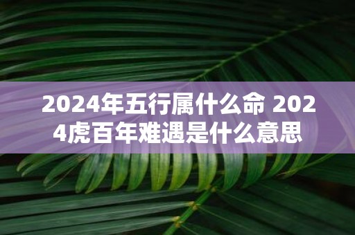 2025年五行属什么命 2025虎百年难遇是什么意思