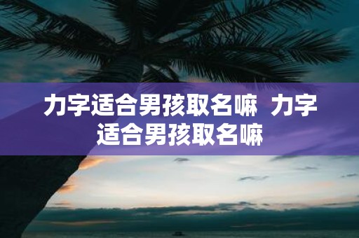 力字适合男孩取名嘛 力字适合男孩取名嘛