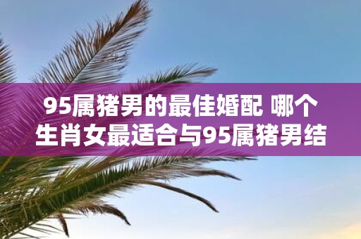 95属猪男的最佳婚配 哪个生肖女最适合与95属猪男结婚