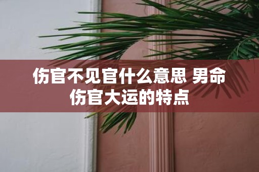 伤官不见官什么意思 男命伤官大运的特点
