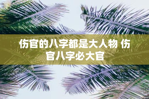 伤官的八字都是大人物 伤官八字必大官