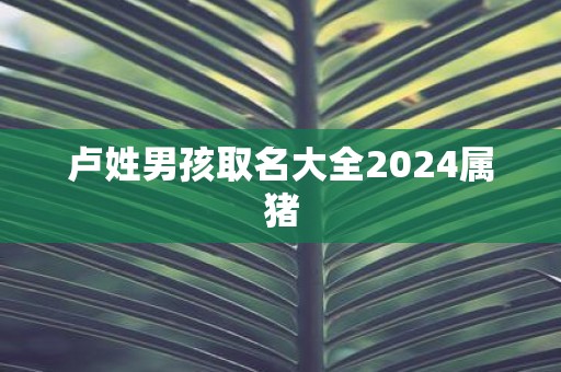 卢姓男孩取名大全2025属猪