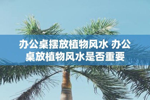 办公桌摆放植物风水 办公桌放植物风水是否重要