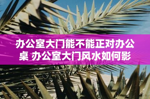 办公室大门能不能正对办公桌 办公室大门风水如何影响财运