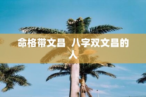命格带文昌 八字双文昌的人