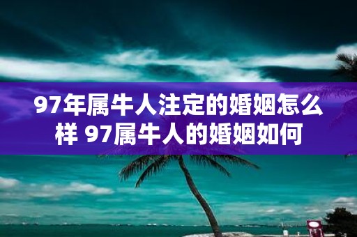 97年属牛人注定的婚姻怎么样 97属牛人的婚姻如何