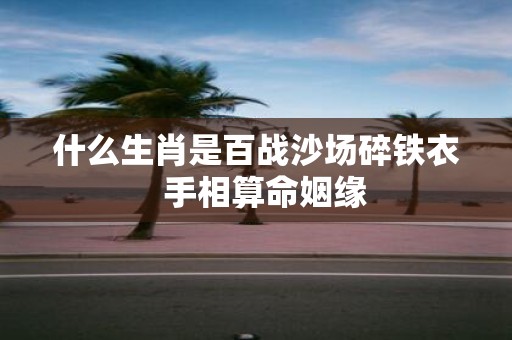 什么生肖是百战沙场碎铁衣 手相算命姻缘