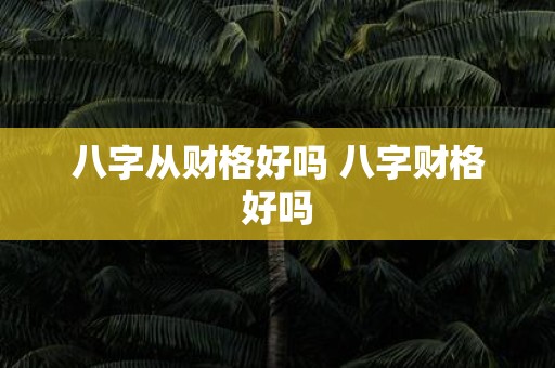 八字从财格好吗 八字财格好吗
