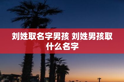 刘姓取名字男孩 刘姓男孩取什么名字