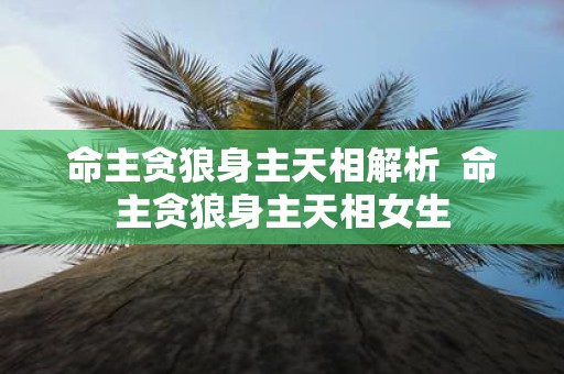 命主贪狼身主天相解析 命主贪狼身主天相女生