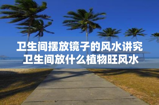 卫生间摆放镜子的风水讲究 卫生间放什么植物旺风水