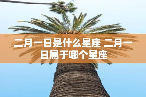 二月一日是什么星座 二月一日属于哪个星座