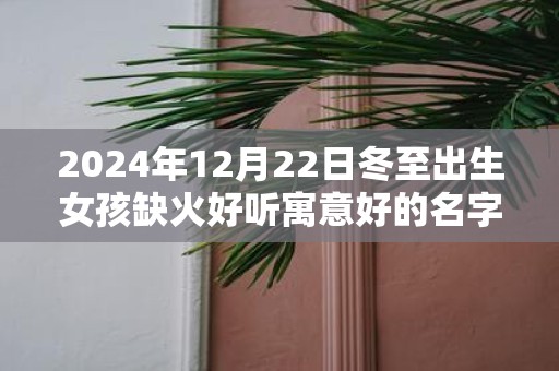 2025年12月22日冬至出生女孩缺火好听寓意好的名字