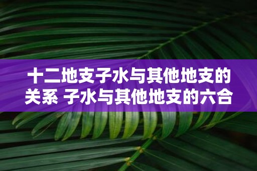十二地支子水与其他地支的关系 子水与其他地支的六合状况