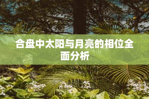 合盘中太阳与月亮的相位全面分析