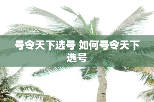 号令天下选号 如何号令天下选号