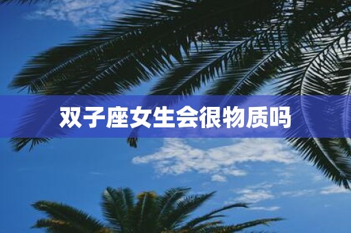 双子座女生会很物质吗