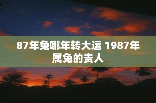87年兔哪年转大运 1987年属兔的贵人