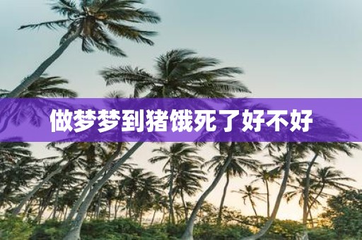 做梦梦到猪饿死了好不好