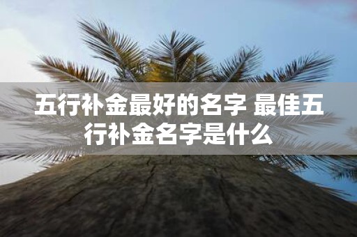 五行补金最好的名字 最佳五行补金名字是什么