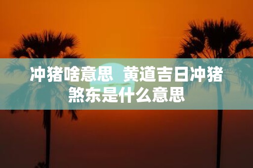 冲猪啥意思 黄道吉日冲猪煞东是什么意思