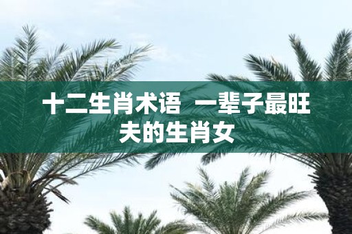 十二生肖术语 一辈子最旺夫的生肖女