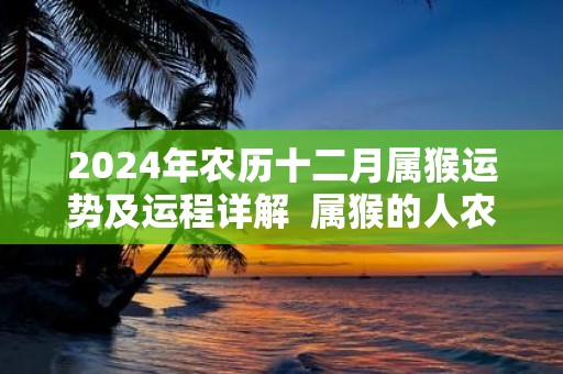2025年农历十二月属猴运势及运程详解 属猴的人农历十二月运势好吗