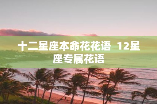 十二星座本命花花语 12星座专属花语